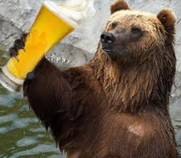 BeerBear_cut.png